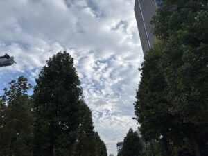 261004_ik