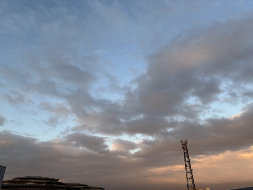 261014_ik