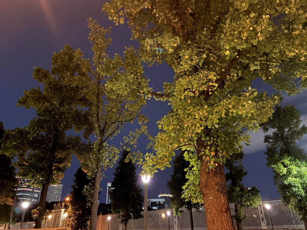 261003_3_ik